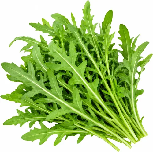 Semillas de rúcula, 250+ Heirloom, semillas sin OMG, Eruca Sativa.