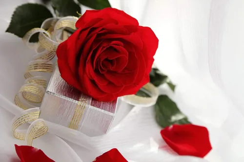 Miniatura 5 de Higfra Flores artificiales, 25 piezas de rosas falsas de espuma de color morado oscuro de aspecto real con tallos para ramos de boda, centros