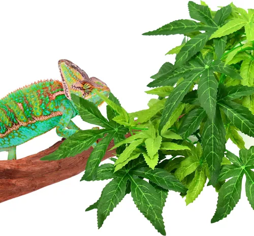 Miniatura 7 de KATUMO Plantas de reptiles, 3 plantas colgantes de anfibios con ventosa para serpientes, dragones barbudos, lagartos, geckos, sapos, tanque