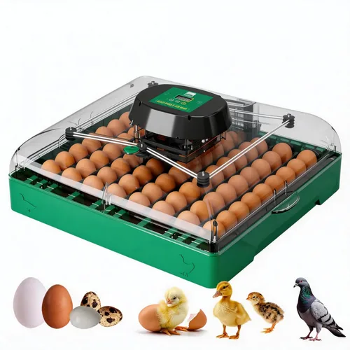 Incubadora de huevos para huevos de gallina, capacidad máxima de 72 huevos con girador automático de huevos y control de humedad, incubadora de