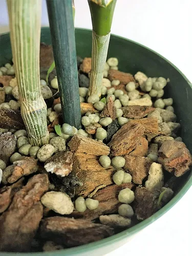 Miniatura 8 de Nutricote - Alimento para orquídeas de Orchid Nerd, 15 onzas (Orchid Ferlizer) 18-6-8 liberación lenta