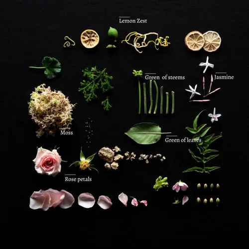 Miniatura 8 de Duša Baies Difusor de varillas perfumadas y varillas – Fragancia esencial para el hogar de 5 onzas líquidas para baño, oficina y espacios de estar