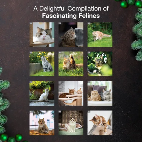 Miniatura 3 de MICASA PRESS Calendario de pared de gatos 2026 de 12 meses 12 x 24 pulgadas abierto Papel grueso y resistente Regalo de vacaciones Lindo