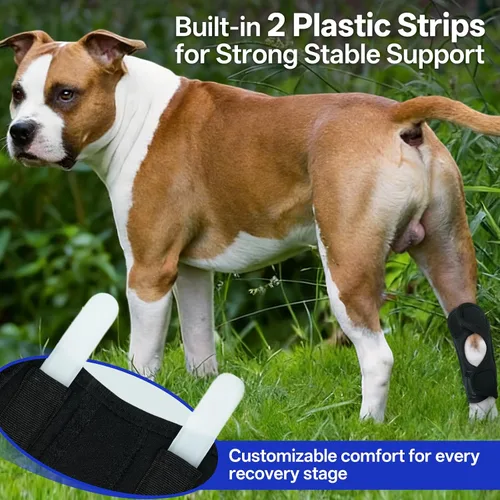 Miniatura 5 de Rodillera para perro para soporte de pierna trasera, soporte ajustable de compresión para piernas traseras débiles, desgarro de ACL y molestias