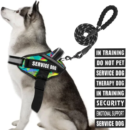 Miniatura 37 de Juego de arnés y correa para perro de servicio, arnés de entrenamiento para perro Animire con 10 parches para perros, correa reflectante para perro