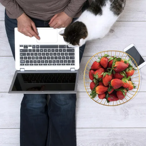 Miniatura 7 de Cesta de frutas de alambre de metal, cuenco de frutas dorado para encimera de cocina, soporte de frutas para encimera, decoración del hogar, centros