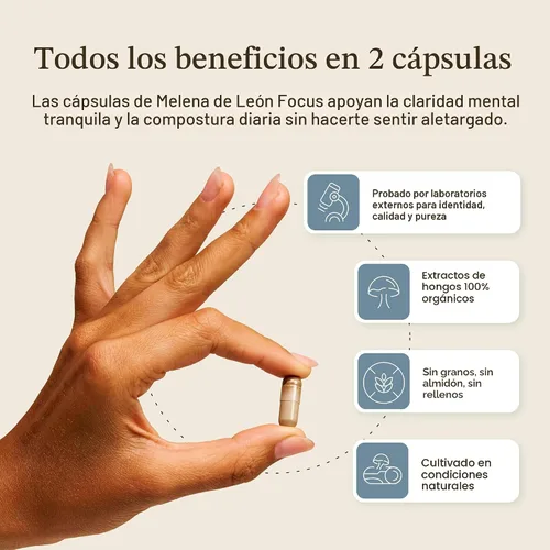 Miniatura 8 de Real Mushrooms Calm Lions Mane Cápsulas (90 unidades) – 400 mg extractos corporales fructíferos de melena de león orgánicos, 200 mg de Reishi