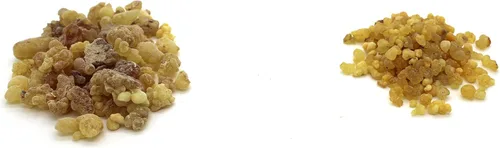 Miniatura 3 de Govinda 1 libra de resina de olíbano tamaño chícharo