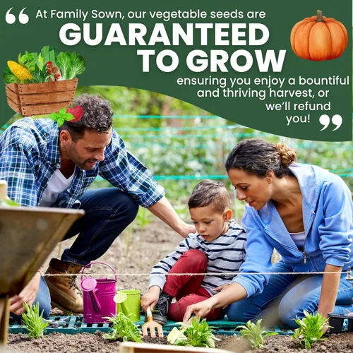 Miniatura 7 de Connecticut Field Pumpkin – 30 semillas de primera calidad para plantar – reliquia clásica, cosechas grandes, exhibiciones de otoño vibrantes