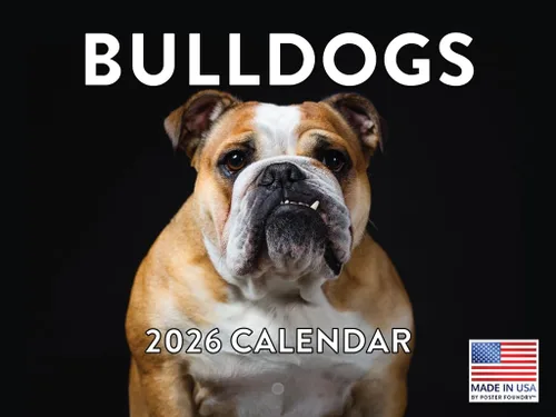 Miniatura 154 de Calendario de pared mensual 2025 Great Dane de 12 meses, fabricado en Estados Unidos