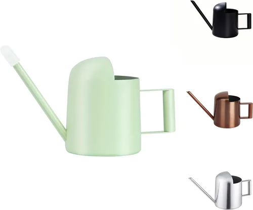 Regadera Mini, 300ml/10oz de Acero Inoxidable con Boquilla Larga, Regadera Pequeña para Plantas de Interior, Suculentas, Hierbas (Verde)