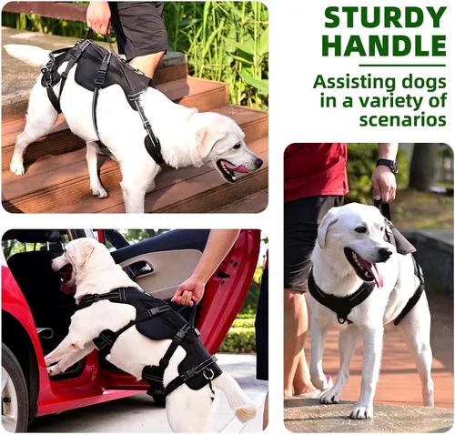 Miniatura 4 de PUPTECK Arnés de elevación para perros para perros de tamaño mediano y grande, cabestrillo de rehabilitación para soporte de pata trasera, arnés
