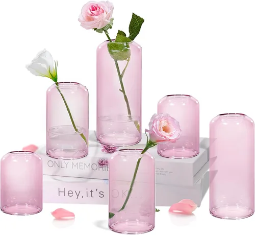 ZENS Juego de 6 jarrones de cristal transparente rosa para flores. Moderno jarrón cilíndrico de vidrio soplado a mano para centros de mesa de