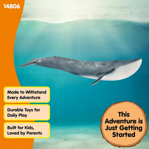 Miniatura 4 de Schleich Wild Life - Figurina realista de ballena azul, juguete de animal acuático auténtico y altamente detallado, duradero para la educación