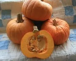 Pastel de calabaza y azúcar Great Heirloom Vegetable by Seed Kingdom Bulk Semillas de 1 libra