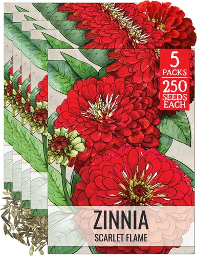 Miniatura 27 de Seed Needs California Giants - Semillas de zinnia – 250 semillas tradicionales para plantar Zinnia elegans – Cultiva flores anuales polinizadas