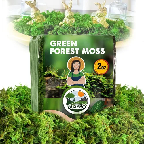 DUSPRO Musgo de bosque verde para manualidades, musgo decorativo seco real para cubierta de suelo de maceta de interior, centros de mesa, bodas, 2 oz