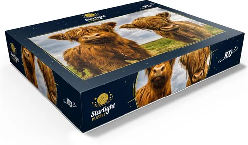 Miniatura 3 de MyPuzzle Two Highland Cows - Rompecabezas prémium de 100 piezas para adultos