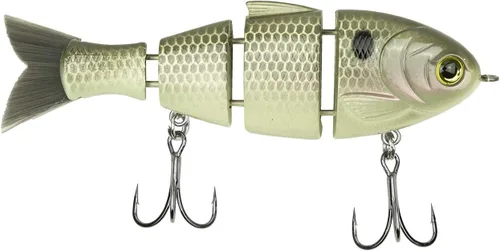 Miniatura 11 de Catch Co Mike Bucca Baby Bull Shad Swimbait 9.53 cm 14.17 g Rainbow Trout