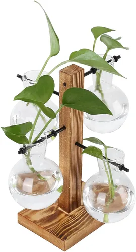 Miniatura 3 de Asixxsix Terrarios de plantas con soporte de madera, soporte retro para macetas hidropónicas de escritorio con 4 bombillas para propagar plantas