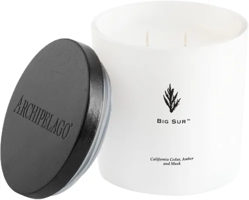 Archipelago Botanicals Big Sur Luxe Candle | Cedro de California, ámbar y almizcle | Mezcla de cera de coco y mechas dobles | Quema aproximadamente