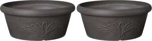 Miniatura 9 de Arcadia Garden Products PSW TA20C Bandeja Compuesta de Plástico/Piedra/Madera para Bulbos – Sin Orificio de Drenaje (Perforable), 8"x3", Chocolate