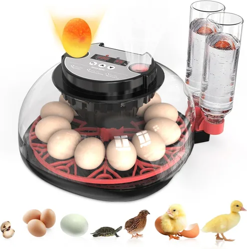 Incubadoras para eclosionar huevos Incubadora automática de huevos con control de temperatura, pantalla de humedad, capacidad para 12 huevos de