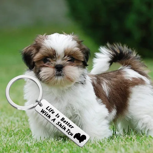 Miniatura 6 de FEELMEM Llavero de perro Lover Gifts Life Is Better with A French Bulldog
