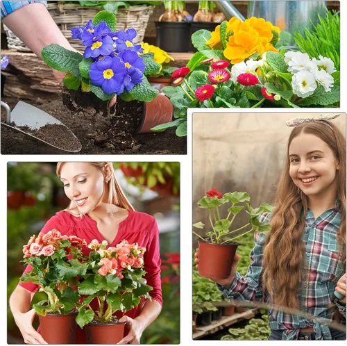 Miniatura 6 de Plantas de plástico de 6 pulgadas, macetas de inicio de semillas, macetas de siembra, macetas de plántulas, contenedor para plantas de flores