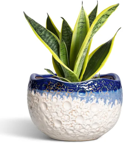 Miniatura 23 de Macetas de Cerámica Thirtypot - Maceta de 4 Pulgadas con Agujero de Drenaje, Macetas Pequeñas para Plantas de Interior y Exterior, Maceta Redonda