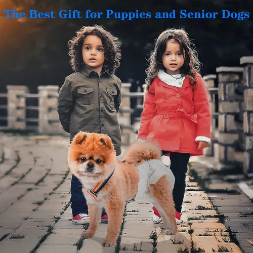 Miniatura 6 de Jaula de secado de gatos Impermeable, antipelo Secador plegable portátil para perros Jaula de secado para mascotas pequeñas, medianas