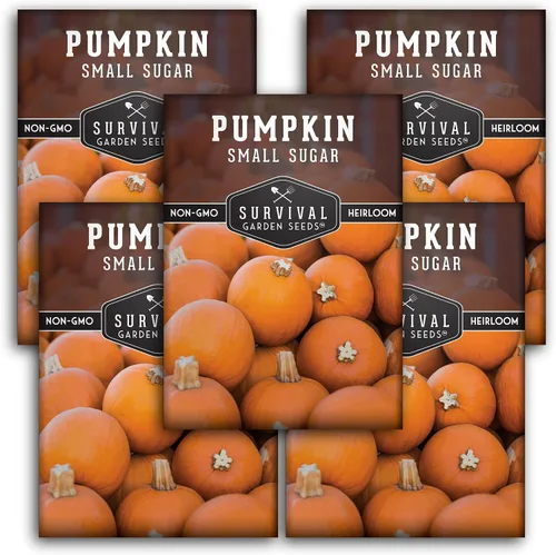 Survival Garden Seeds - Semillas pequeñas de calabaza de azúcar para plantar - 5 paquetes con instrucciones para plantar y cultivar calabazas de
