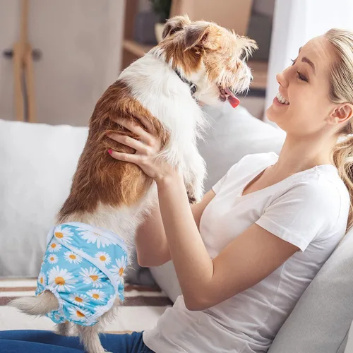 Miniatura 2 de Pet Soft Pañales para perras, paquete de 3 pañales lavables para perros en celo, reutilizables, bragas de período, pañales para cachorros hembra