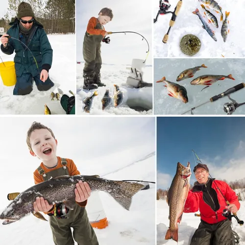 Miniatura 5 de Aventik Combo de Caña y Carrete de Pesca en Hielo Ultraligero 26/28/30/32 pulgadas Medio Ligero Acción Rápida Combos de Pesca en Hielo Multiespecie