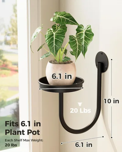 Miniatura 5 de Bamworld Macetas colgantes para plantas de interior, soporte para plantas de pared, colgador de plantas, macetas de pared para interiores, estantes