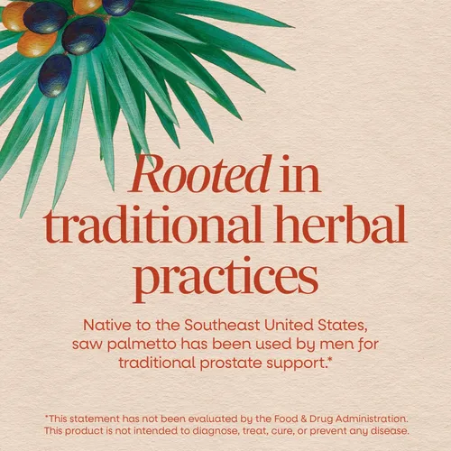 Miniatura 3 de Nature's Way Saw Palmetto Berries, apoyo tradicional de próstata, suplemento de hierbas para hombres, 585 mg por porción, proyecto verificado sin