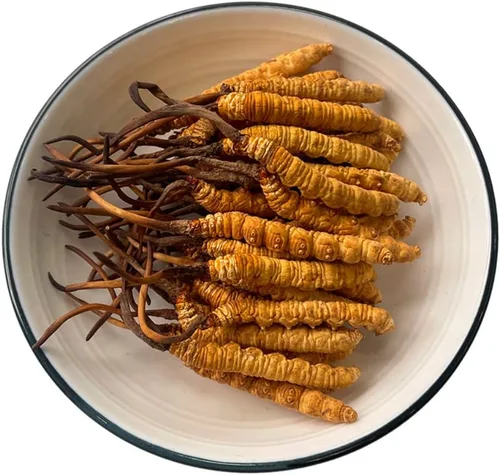 Cordyceps Sinensis 100% salvaje del Himalaya Cordyceps Sinensis hongo de oruga china Cordyceps Sinensis Wild Cordyceps, Dong Chong Xia Cao, apoyo de