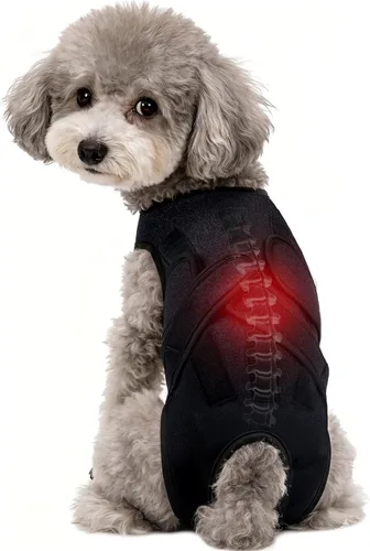 Miniatura 10 de Soporte de espalda para perro para IVDD y recuperación espinal, chaleco de apoyo transpirable ajustable para perro, protector lumbar para perros