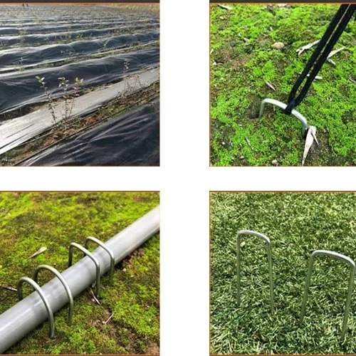 Miniatura 7 de AAGUT Paquete de 50 grapas galvanizadas de 12 pulgadas para jardín, grapas en forma de U, grapas de jardinería para anclaje de césped, tubería