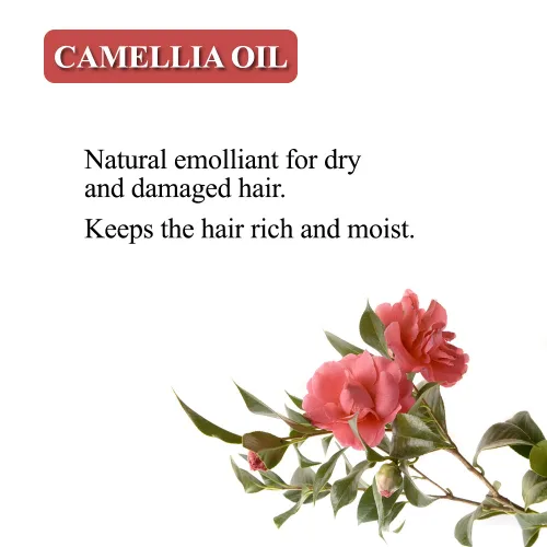 Miniatura 2 de Karma Naturals Barra de champú con té verde - El cuidado del cabello ayuda a garantizar un cabello nutrido y saludable