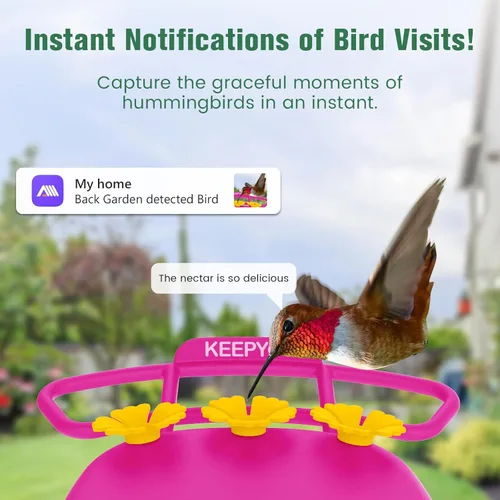 Miniatura 3 de Comedero de colibríes de 2.5K con cámara, comedero inteligente inalámbrico sin suscripción para pájaros para exteriores, cámara AI para ver video
