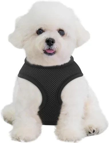 MoNiBloom Arnés para perro de tamaño pequeño, chaleco acolchado suave para cachorros para caminar, correr, entrenar - negro, XS
