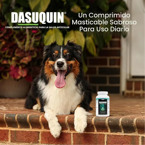 Miniatura 4 de Nutramax Dasuquin para perros grandes, suplemento de salud articular, contiene glucosamina para perros, además de condroitina, ASU y más, apoya
