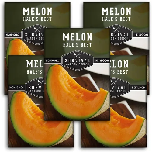 Survival Garden Seeds - La mejor semilla de melón de Hale para plantar - Cultiva melón jugoso para comer - 5 paquetes con instrucciones para plantar