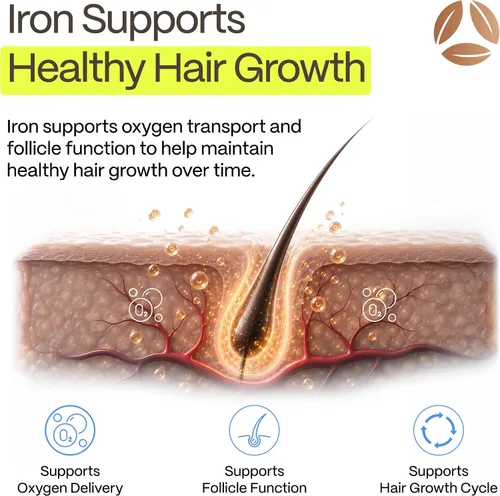Miniatura 4 de DermaIRON Suplemento de hierro para mujeres y hombres, plancha suave para baja ferritina y apoyo a la anemia, adelgazamiento del cabello y apoyo a