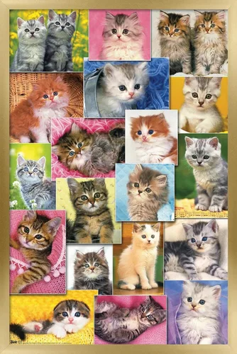Miniatura 15 de Trends International Keith Kimberlin - Póster de pared de collage de gatitos, 14.725 x 22.375 pulgadas, versión enmarcada de madera de granero