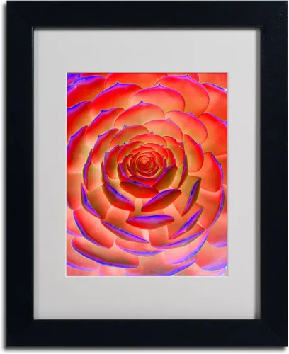 Miniatura 2 de Trademark Fine Art Arte de plantas en arte enmarcado mate por Patty Tuggle en marco negro, 11 x 14 pulgadas