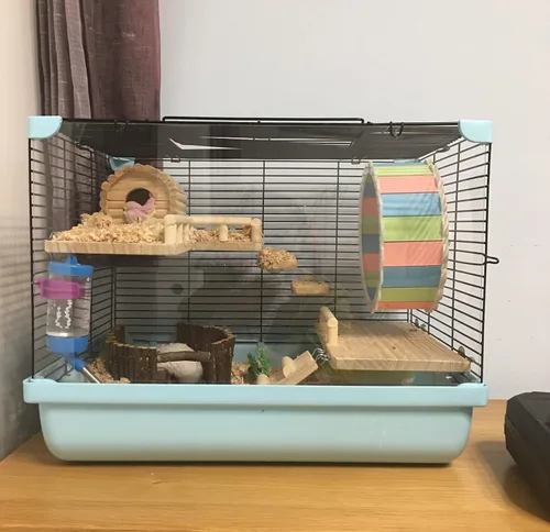 Miniatura 3 de Plataforma de madera con escalera, estructura de actividad para mascotas, pájaro, chinchilla, conejillo de indias, hámster, accesorios de jaula