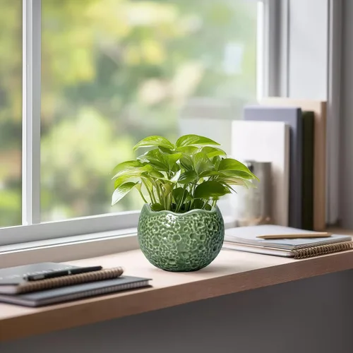 Miniatura 5 de Macetas de Cerámica Thirtypot - Maceta de 4 Pulgadas con Agujero de Drenaje, Macetas Pequeñas para Plantas de Interior y Exterior, Maceta Redonda