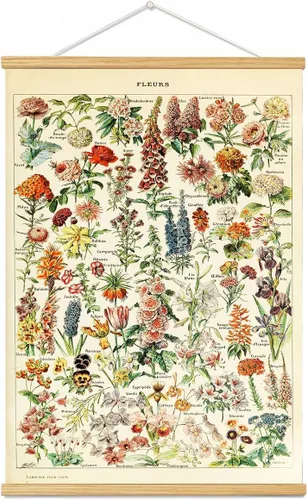 Marco para colgar pósteres de flores vintage, tabla de referencia floral de plantas, decoración de pared, decoración de habitación, estética, planta
